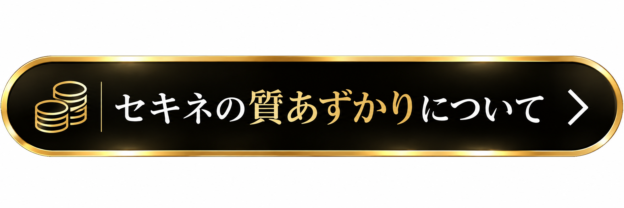 �Z�L�l�̎���������ɂ���